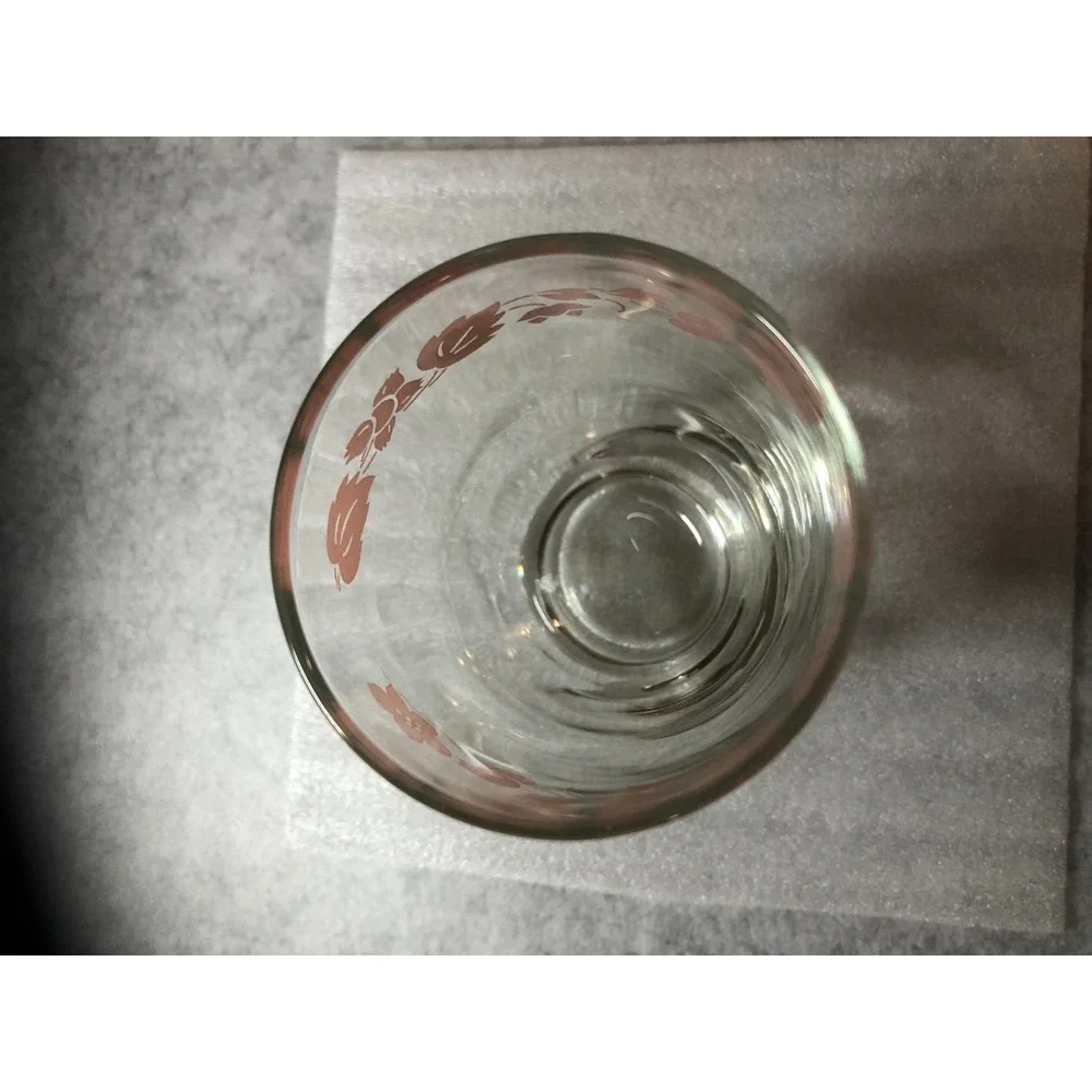 1 ~Vintage Pink Gooseberry Clear Footed Tumbler 4.5